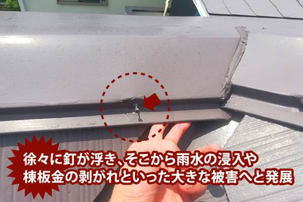 徐々に釘が浮き、そこから雨水の浸入や棟板金の剥がれといった大きな被害へと発展