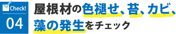 屋根材の色褪せ、苔、カビ、藻の発生をチェック