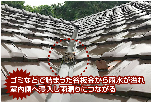 ゴミなどで詰まった谷板金から雨水が溢れ室内側へ浸入し雨漏りにつながる