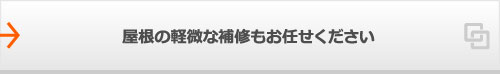 屋根の軽微な補修もお任せください