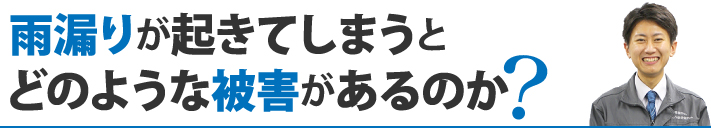 雨漏りが起きてしまうとどのような被害があるのか？