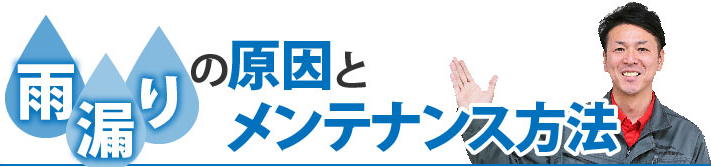 雨漏りの原因とメンテナンス方法