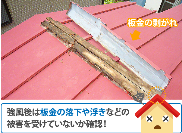 強風後は板金の落下や浮きなどの被害を受けていないか確認!