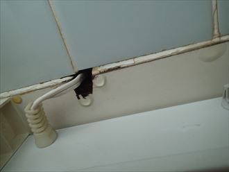ブログタイトル