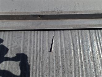 ブログタイトル