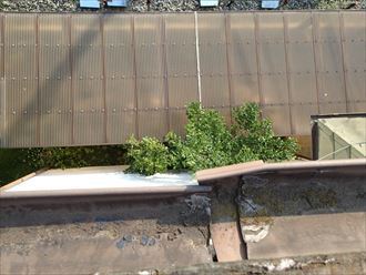 ブログタイトル