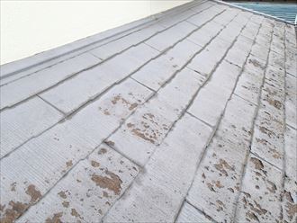 ブログタイトル