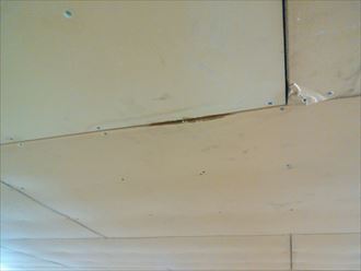 ブログタイトル