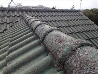 ブログタイトル