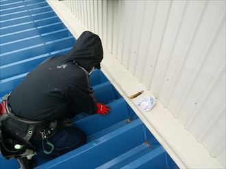 ブログタイトル