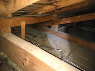 ブログタイトル