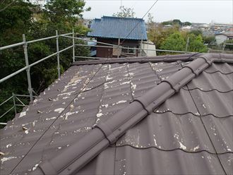 調布市　雨染み確認