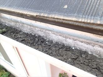 大田区　雨どい調査