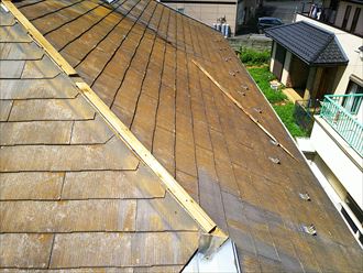 ブログタイトル