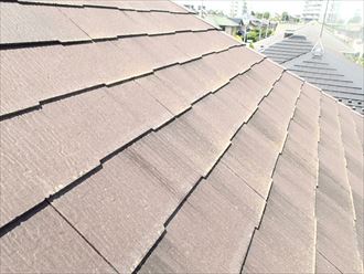 ブログタイトル