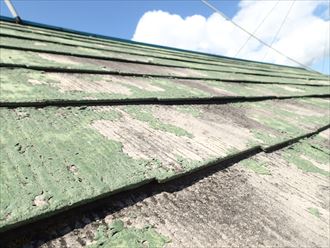 ブログタイトル