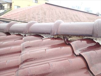 ブログタイトル