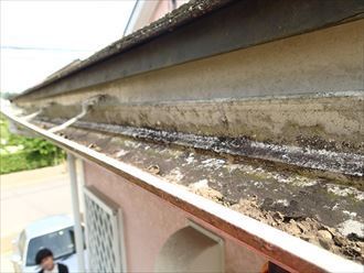 大田区　雨どいの歪み