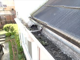 大田区 雨どいの詰まり