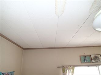 ブログタイトル