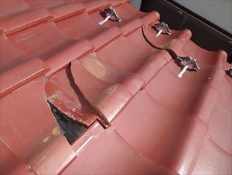 ブログタイトル