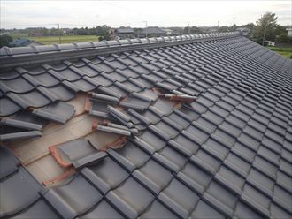 ブログタイトル