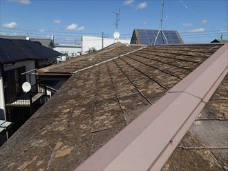 ブログタイトル