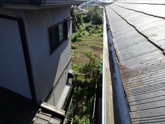 ブログタイトル