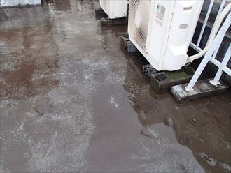 ブログタイトル