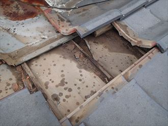 ブログタイトル