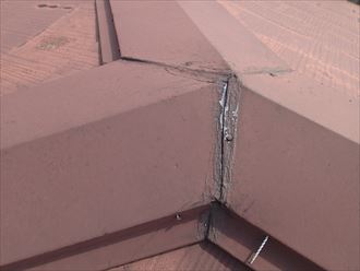 ブログタイトル