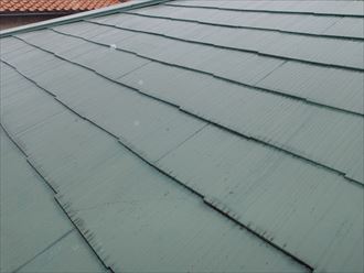 ブログタイトル