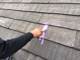 ブログタイトル