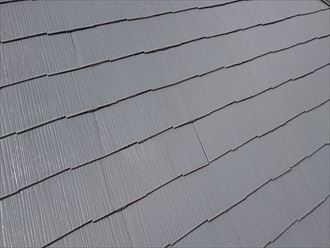 ブログタイトル