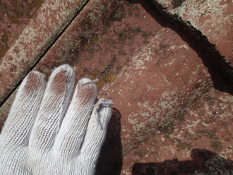 ブログタイトル