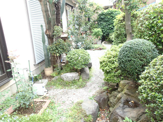 文京区　屋根カバー工法前の点検　庭には観葉植物が多い