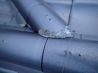 ブログタイトル