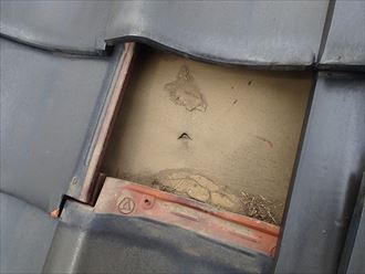 ブログタイトル