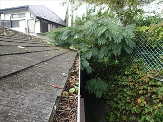 ブログタイトル