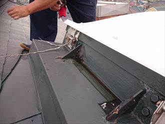 ブログタイトル