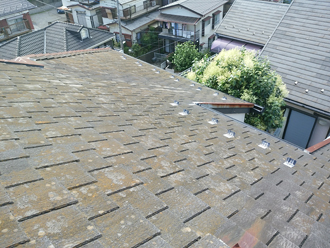 ブログタイトル