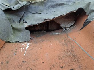 ブログタイトル