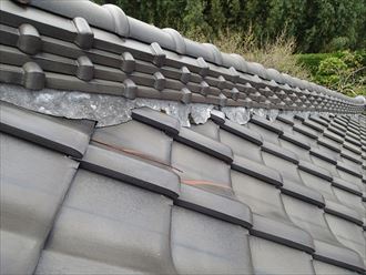 ブログタイトル