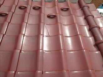 ブログタイトル