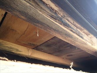 ブログタイトル