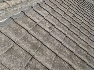 ブログタイトル