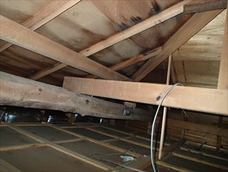 葛飾区 屋根裏調査