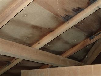 葛飾区　屋根からの雨漏り