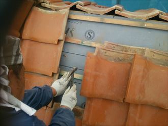 ブログタイトル