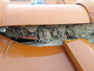 ブログタイトル